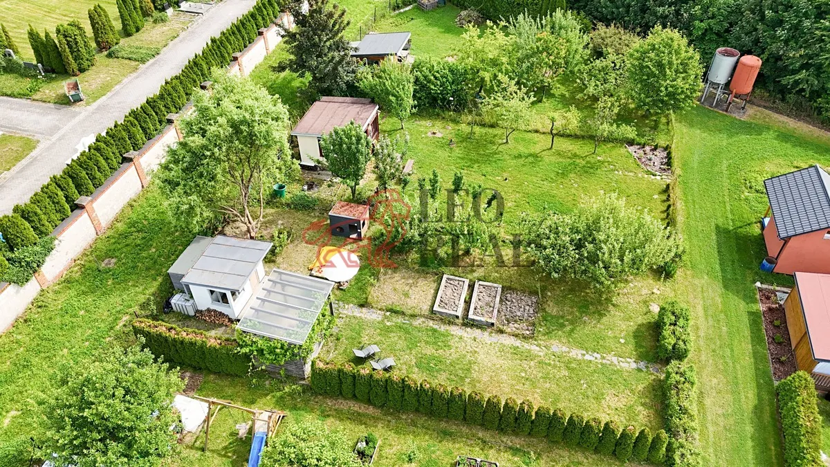 Fotka 12 z 12